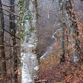 Tolosa (205)